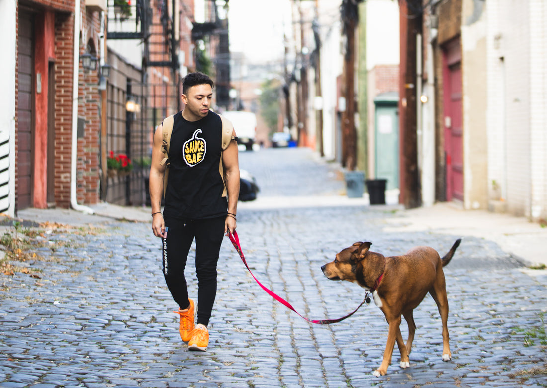 Sauce Bae Hot Sauce Owner Kevin Carbone Walking his dog in Hoboken